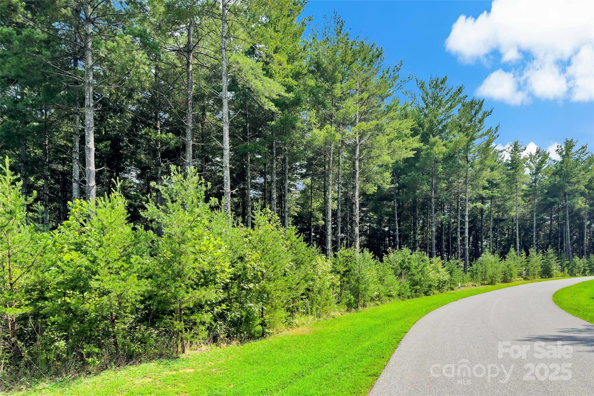 365 Peninsula Reserve Road Nebo NC 28761