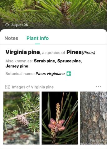 365 Peninsula Reserve Road Nebo NC 28761