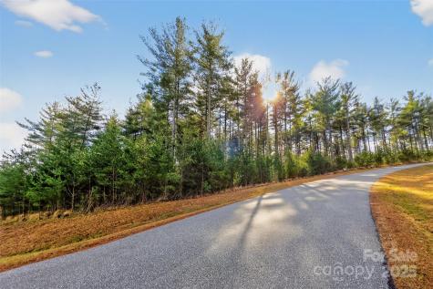 365 Peninsula Reserve Road Nebo NC 28761