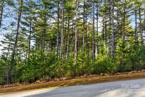 365 Peninsula Reserve Road Nebo NC 28761