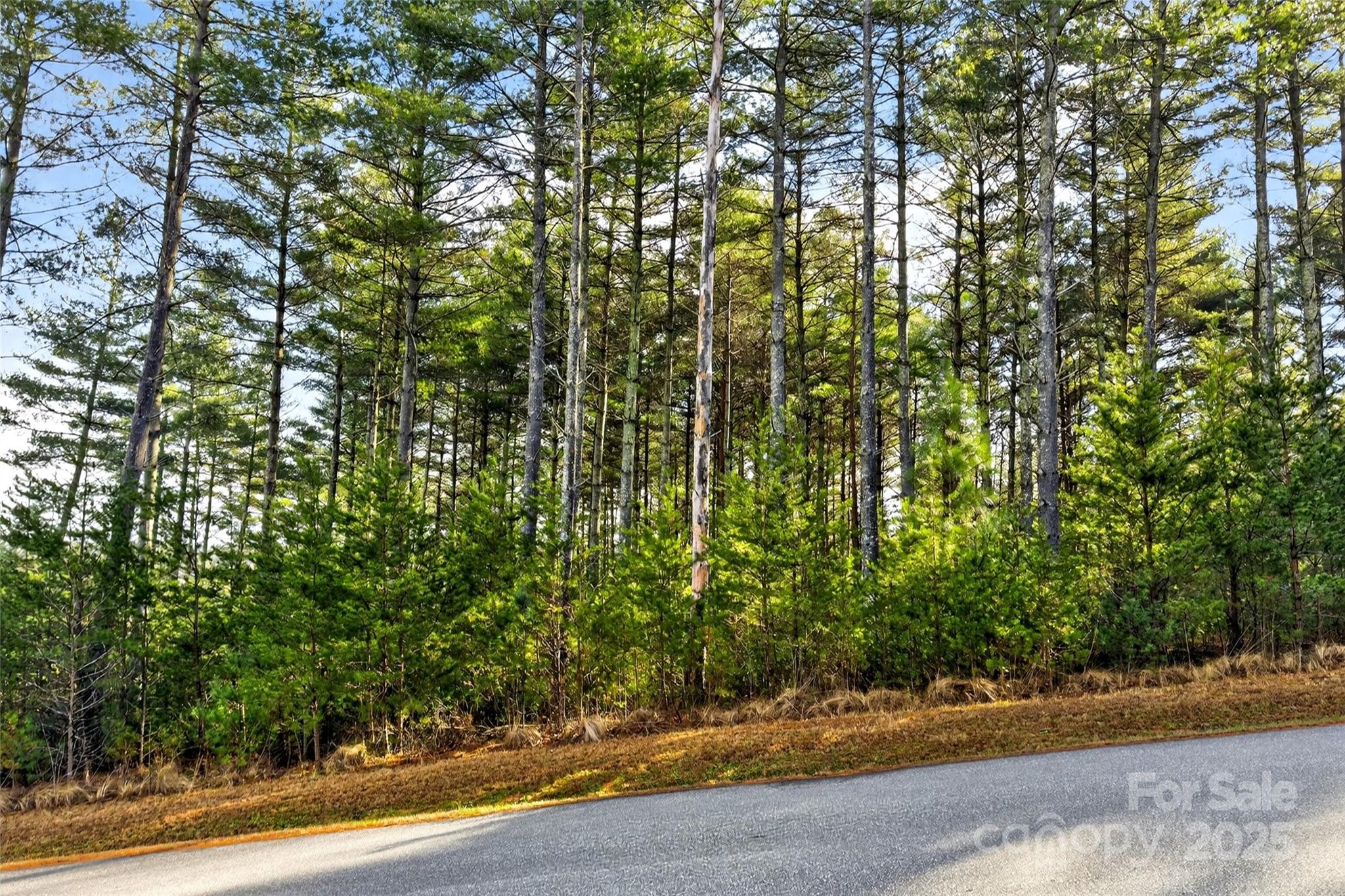 365 Peninsula Reserve Road Nebo NC 28761