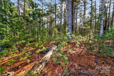 365 Peninsula Reserve Road Nebo NC 28761
