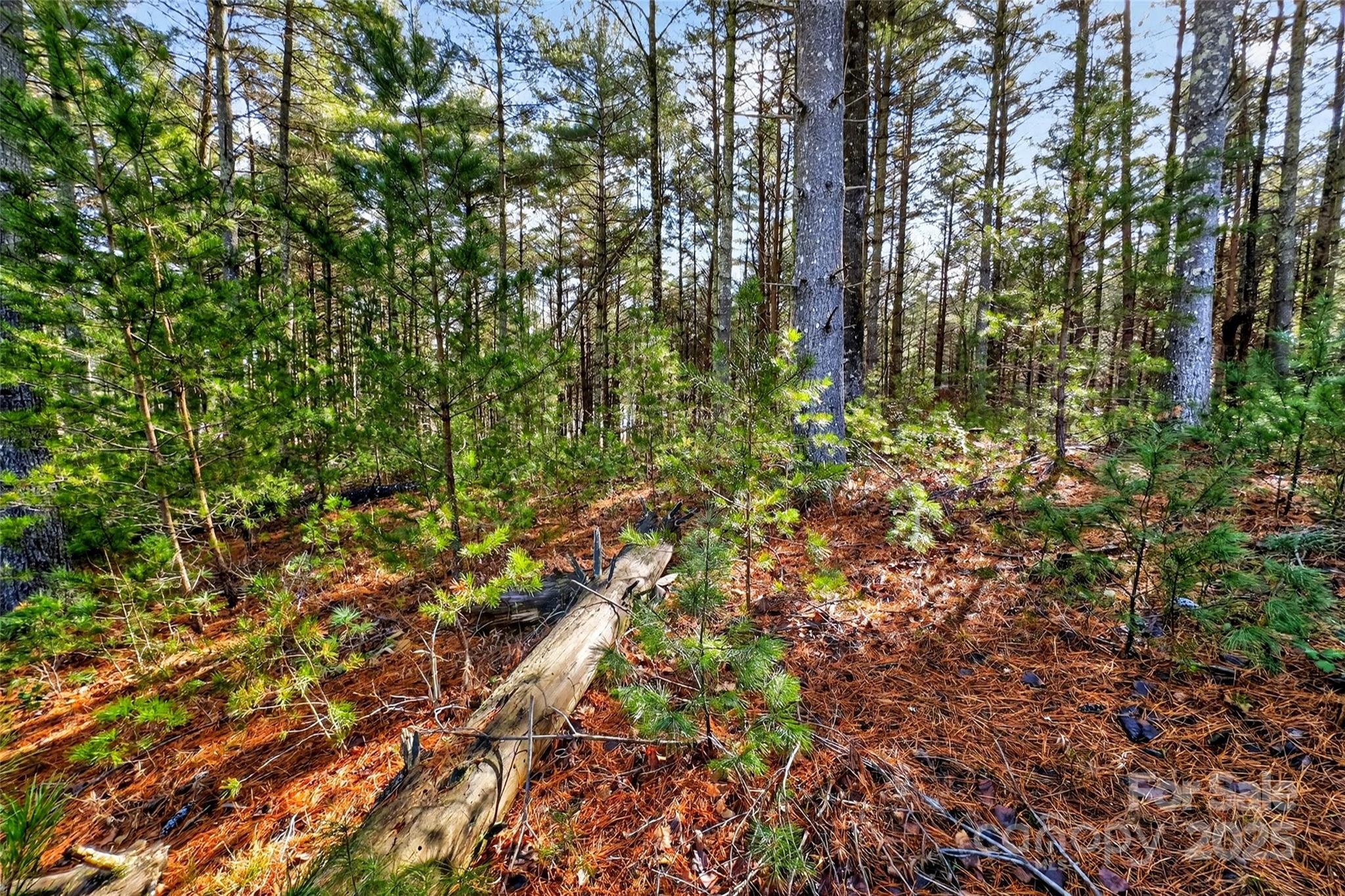 365 Peninsula Reserve Road Nebo NC 28761