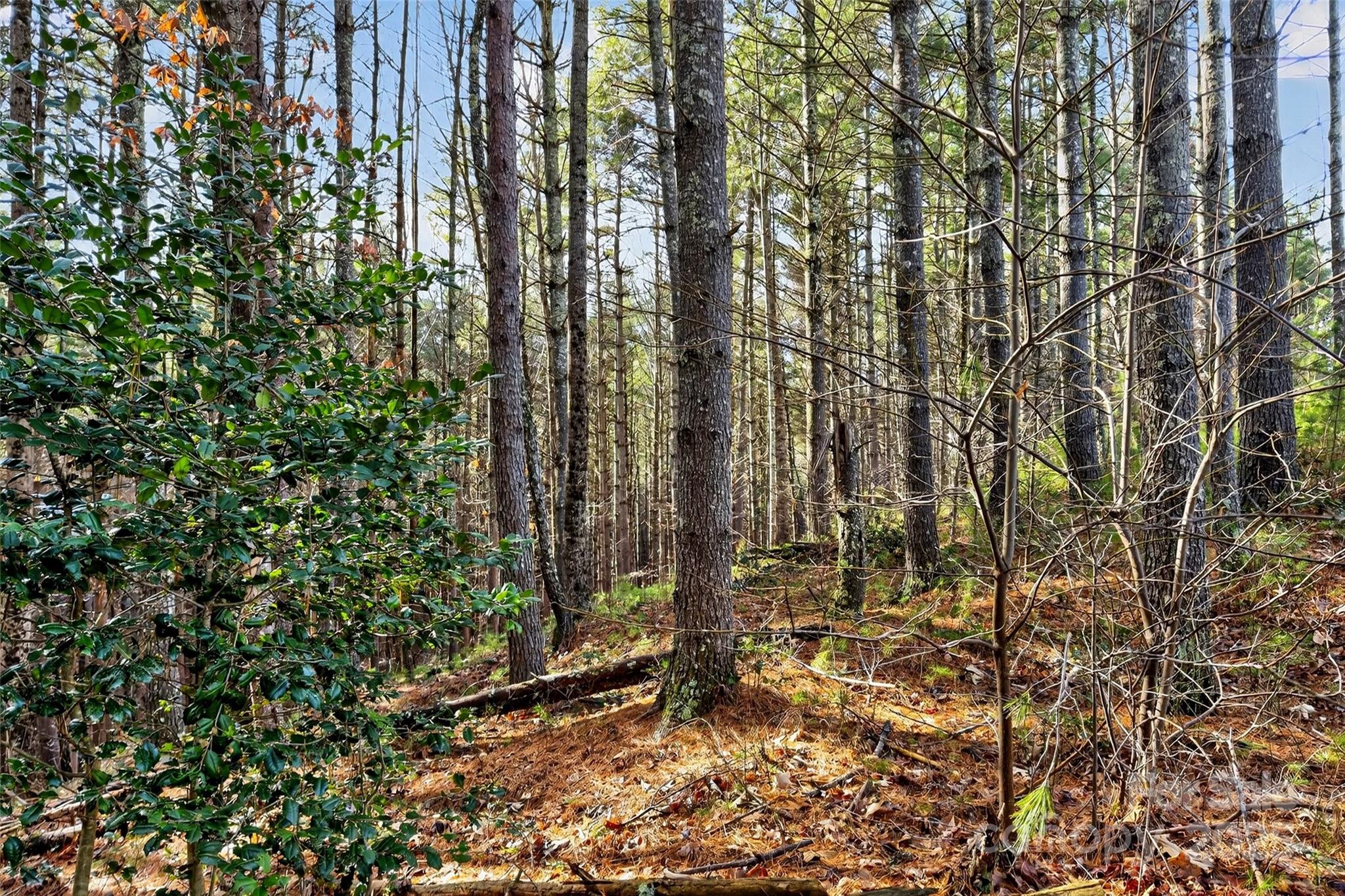 365 Peninsula Reserve Road Nebo NC 28761