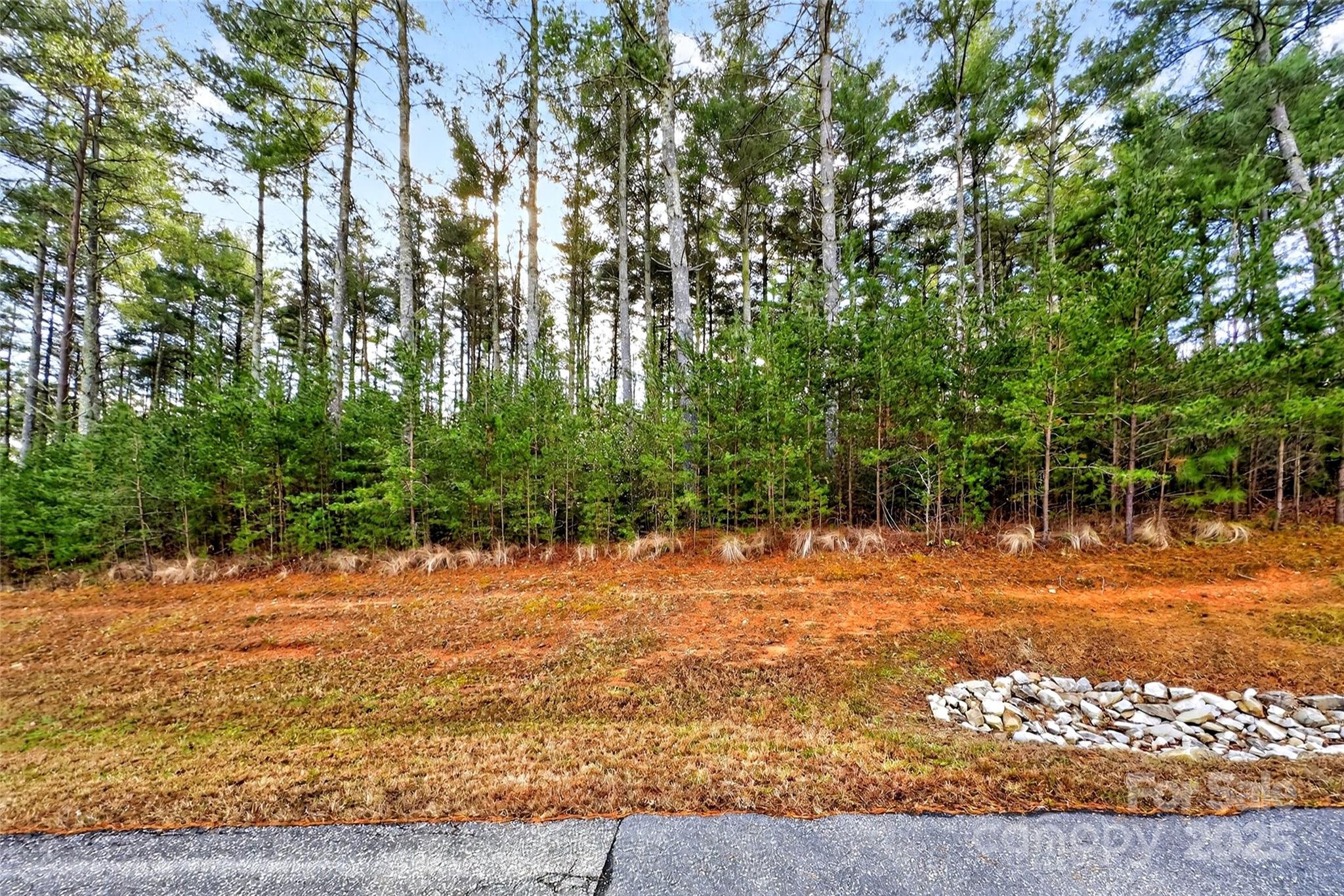 365 Peninsula Reserve Road Nebo NC 28761