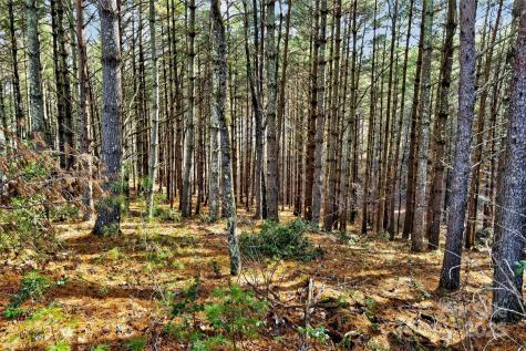365 Peninsula Reserve Road Nebo NC 28761
