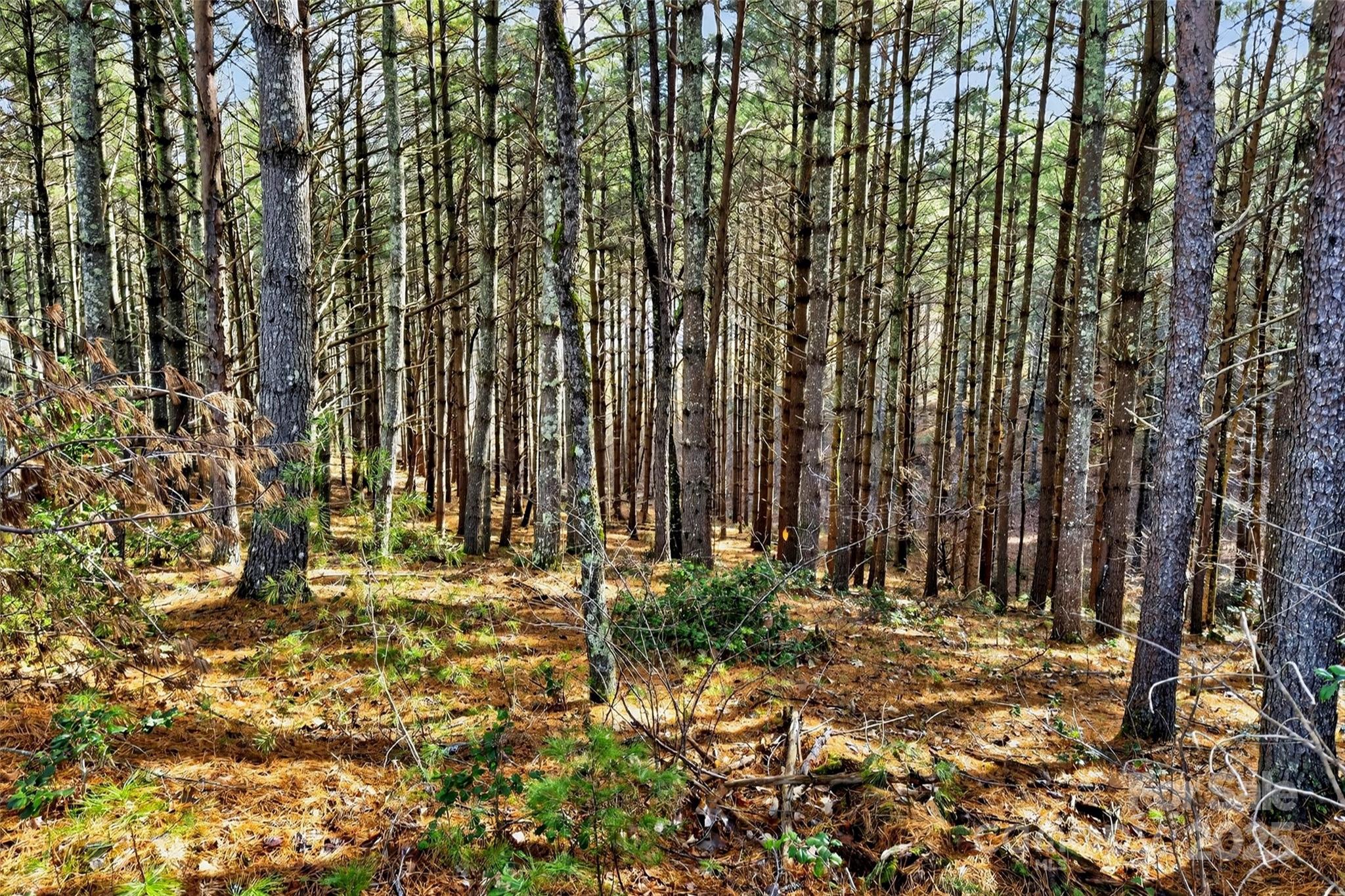 365 Peninsula Reserve Road Nebo NC 28761