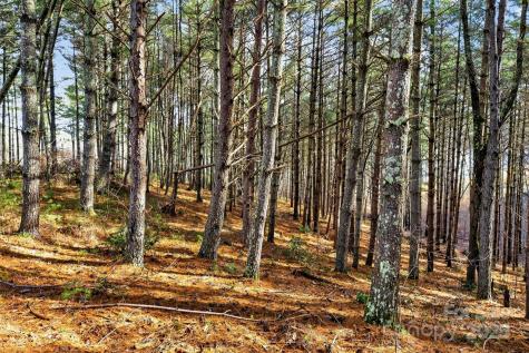 365 Peninsula Reserve Road Nebo NC 28761