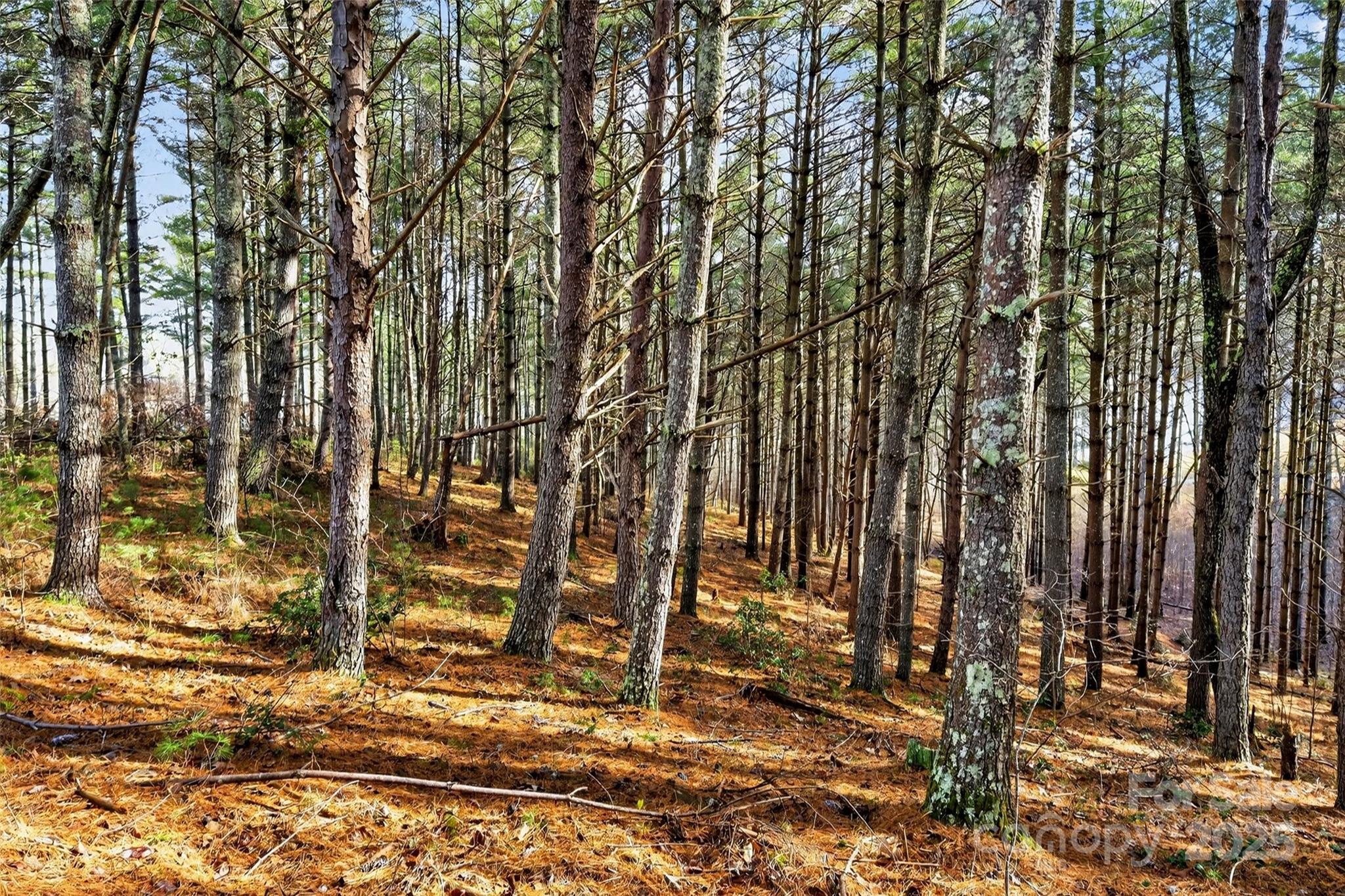 365 Peninsula Reserve Road Nebo NC 28761