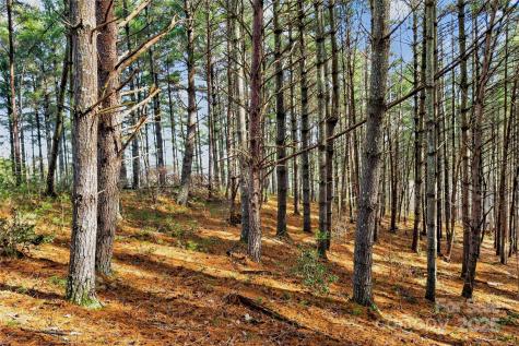 365 Peninsula Reserve Road Nebo NC 28761