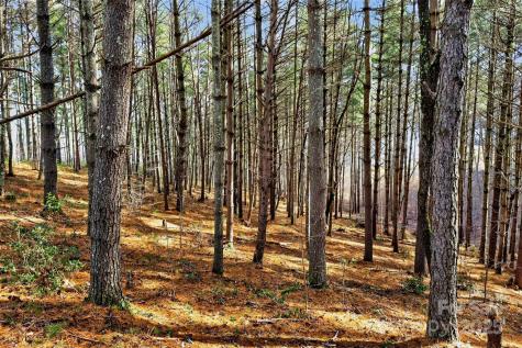 365 Peninsula Reserve Road Nebo NC 28761