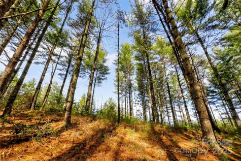 365 Peninsula Reserve Road Nebo NC 28761