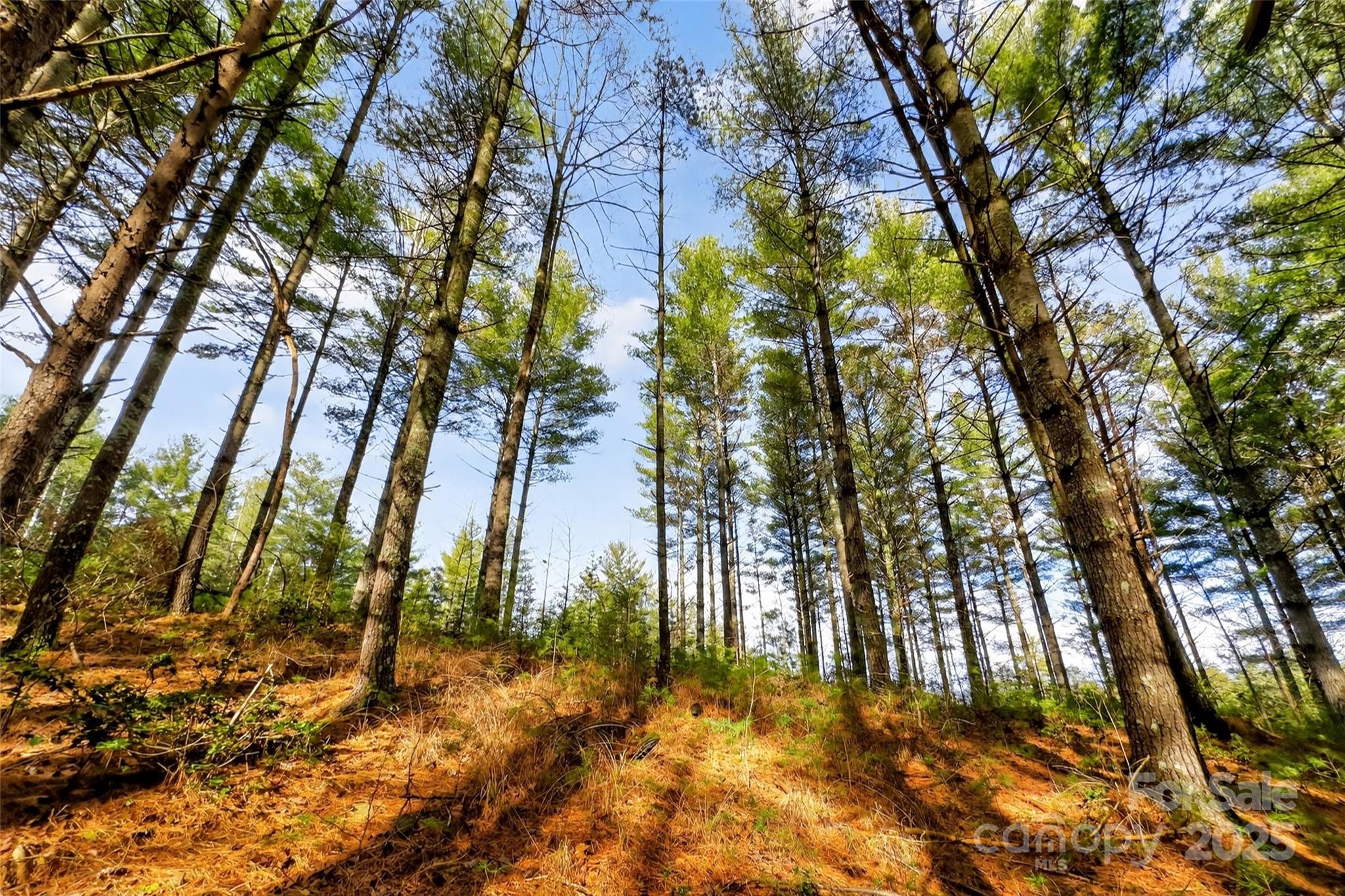 365 Peninsula Reserve Road Nebo NC 28761