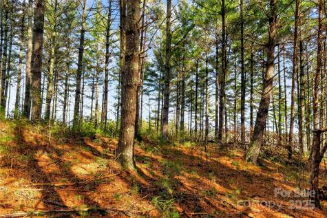 365 Peninsula Reserve Road Nebo NC 28761