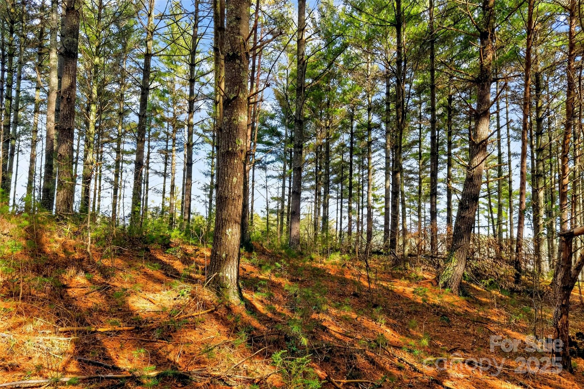 365 Peninsula Reserve Road Nebo NC 28761