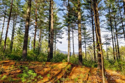 365 Peninsula Reserve Road Nebo NC 28761