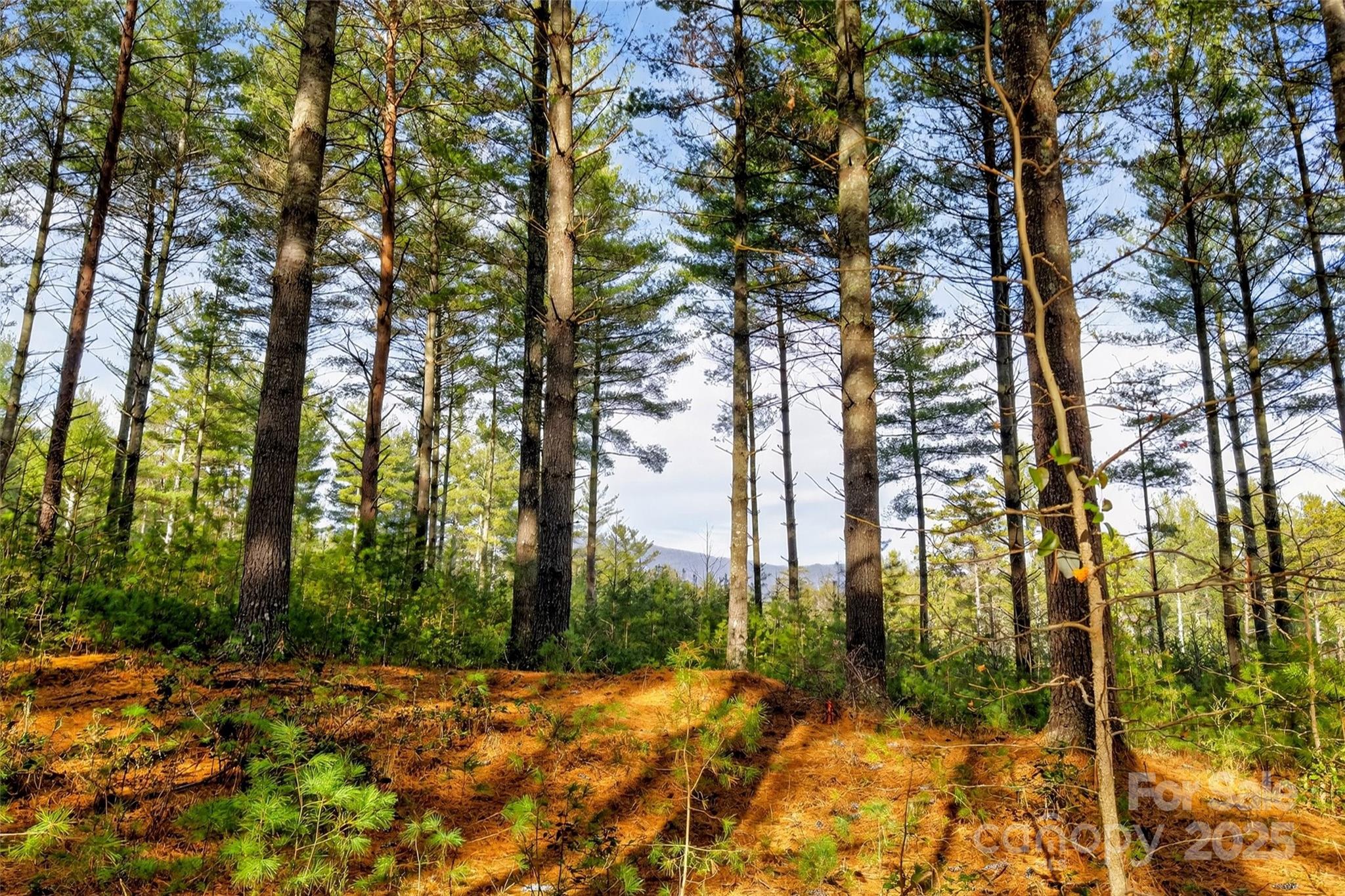 365 Peninsula Reserve Road Nebo NC 28761
