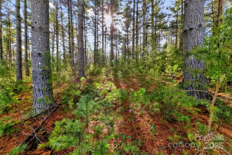 365 Peninsula Reserve Road Nebo NC 28761