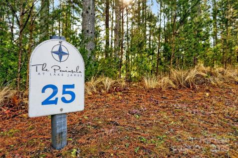365 Peninsula Reserve Road Nebo NC 28761