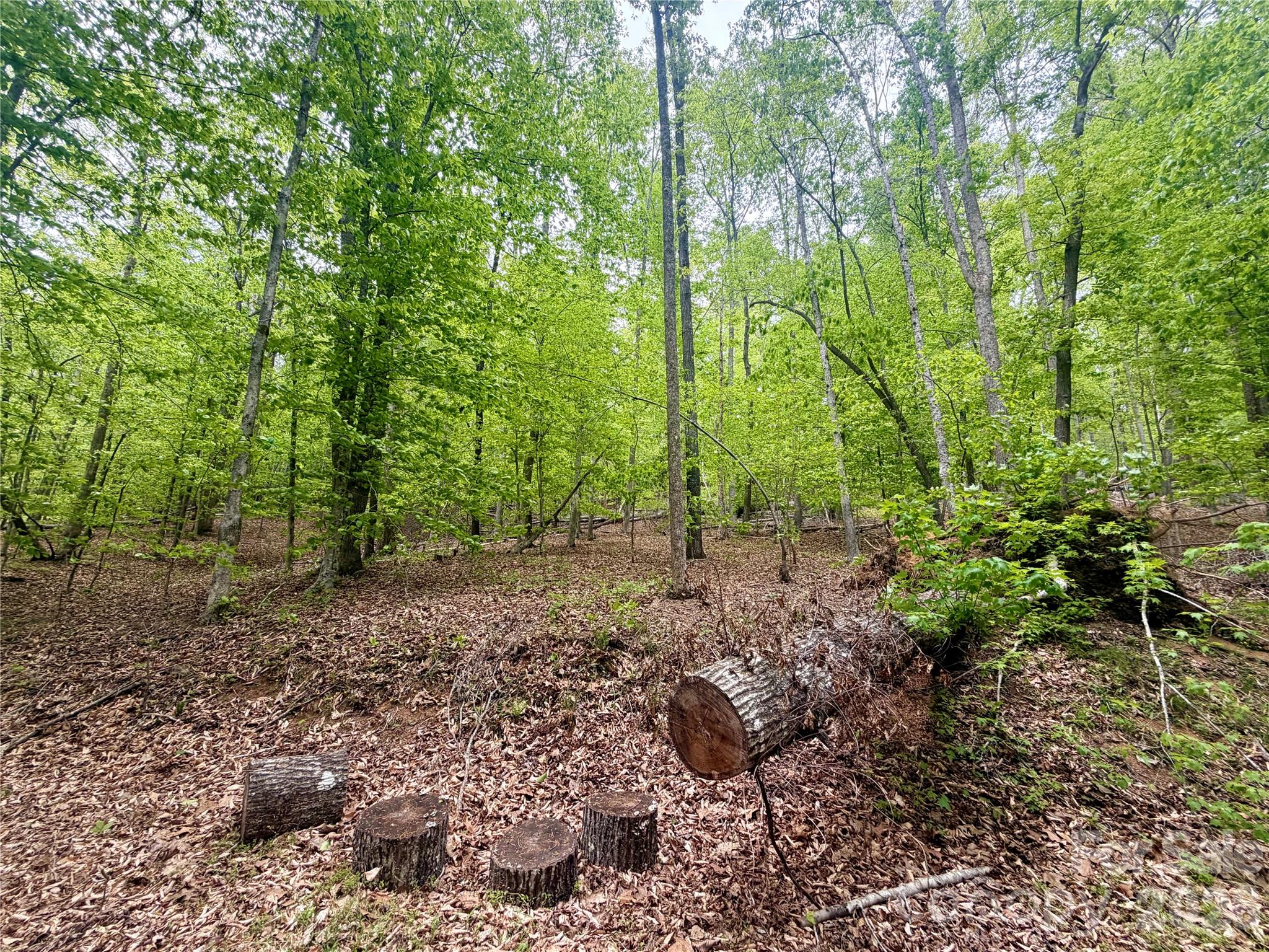 0 Polk County Line Road Rutherfordton NC 28139