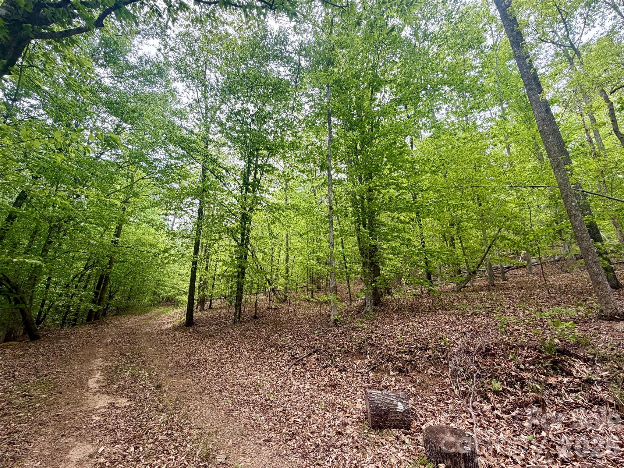 0 Polk County Line Road Rutherfordton NC 28139