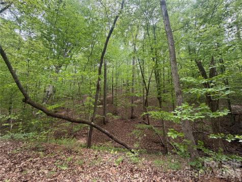 0 Polk County Line Road Rutherfordton NC 28139