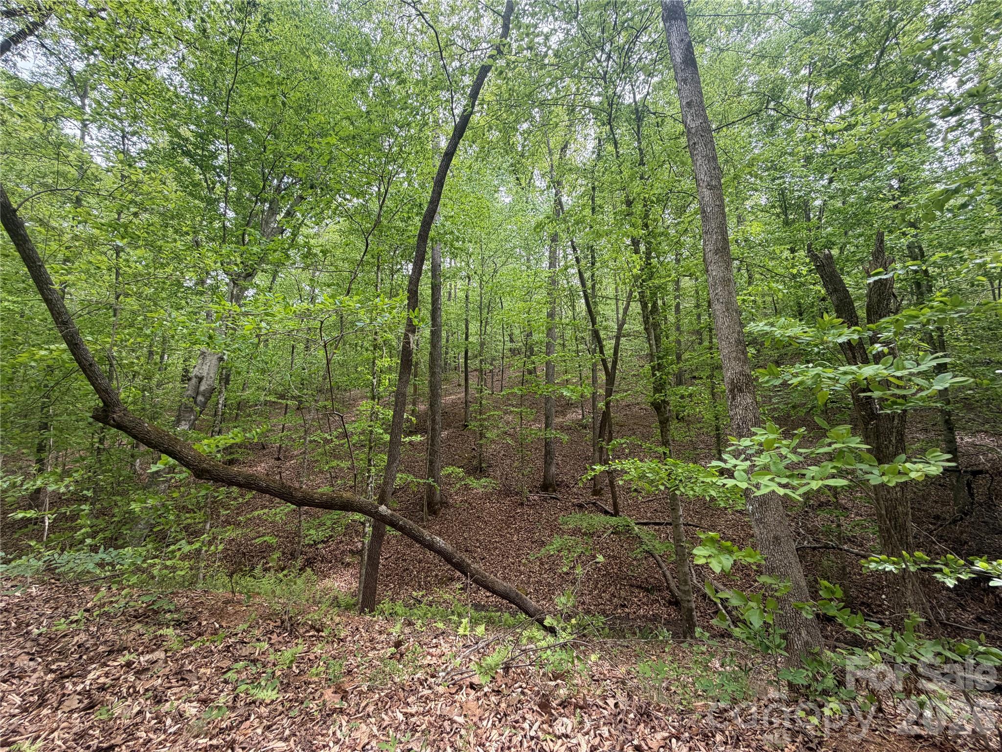 0 Polk County Line Road Rutherfordton NC 28139