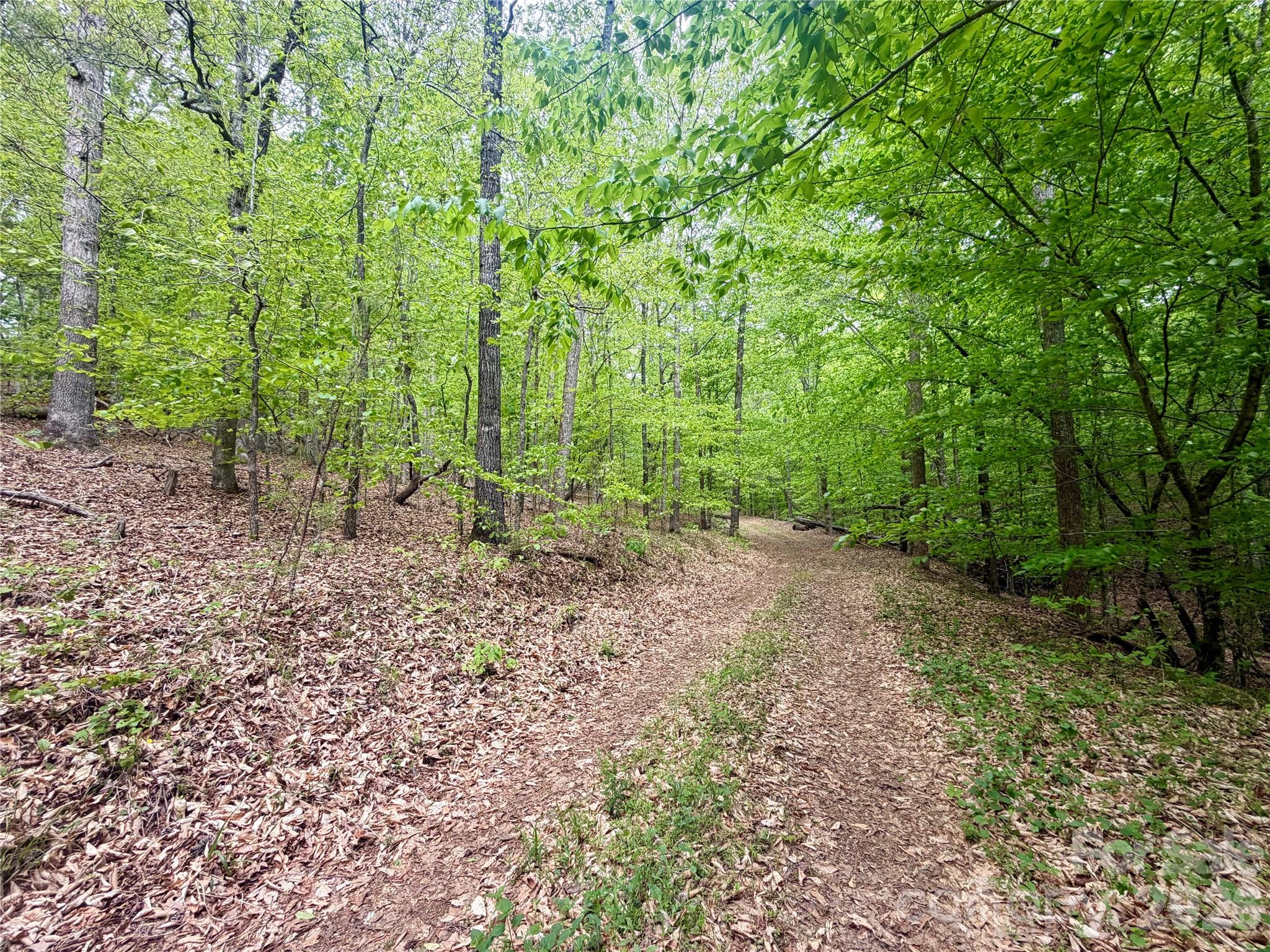 0 Polk County Line Road Rutherfordton NC 28139