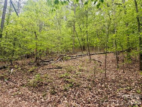 0 Polk County Line Road Rutherfordton NC 28139