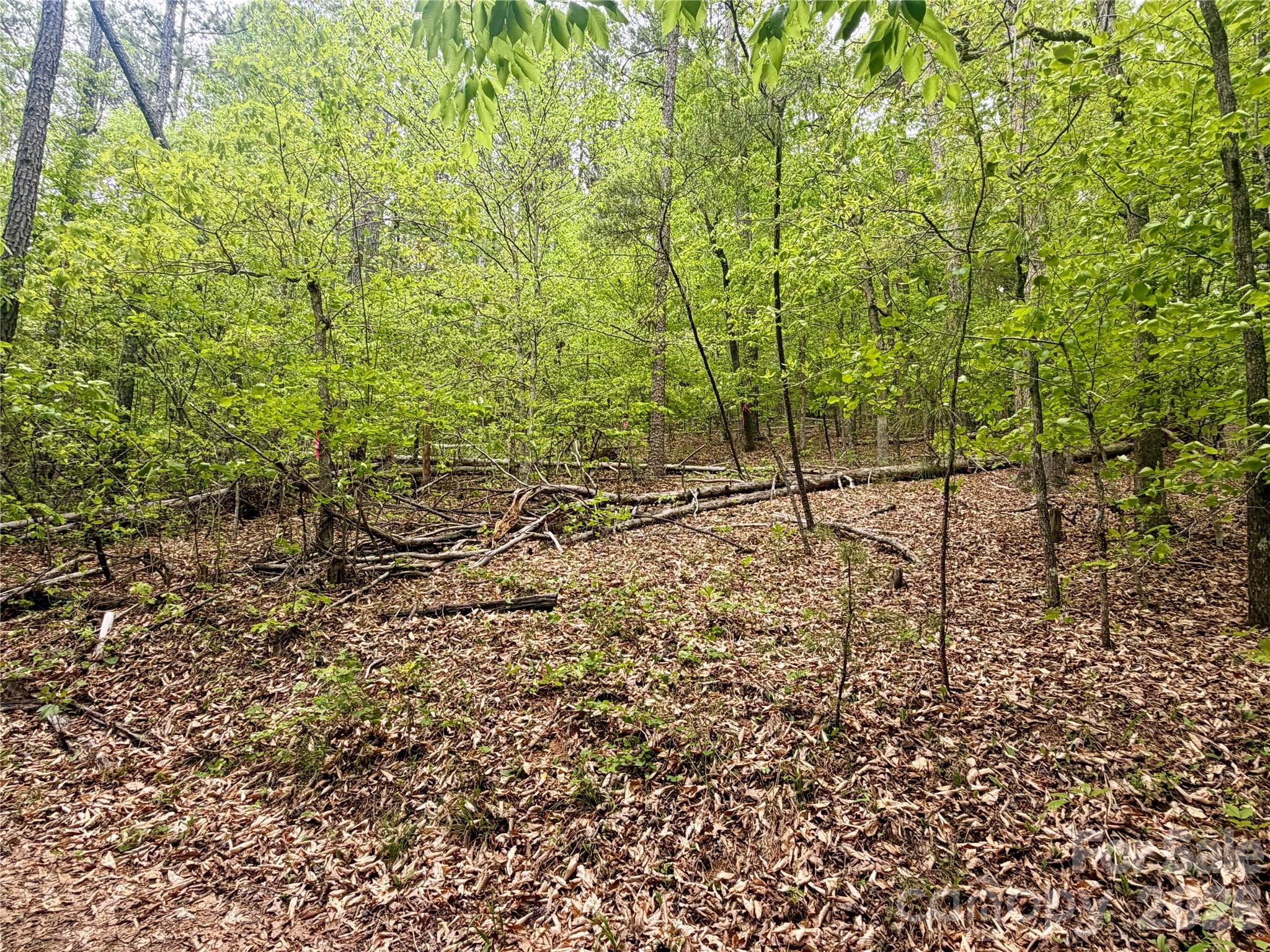 0 Polk County Line Road Rutherfordton NC 28139