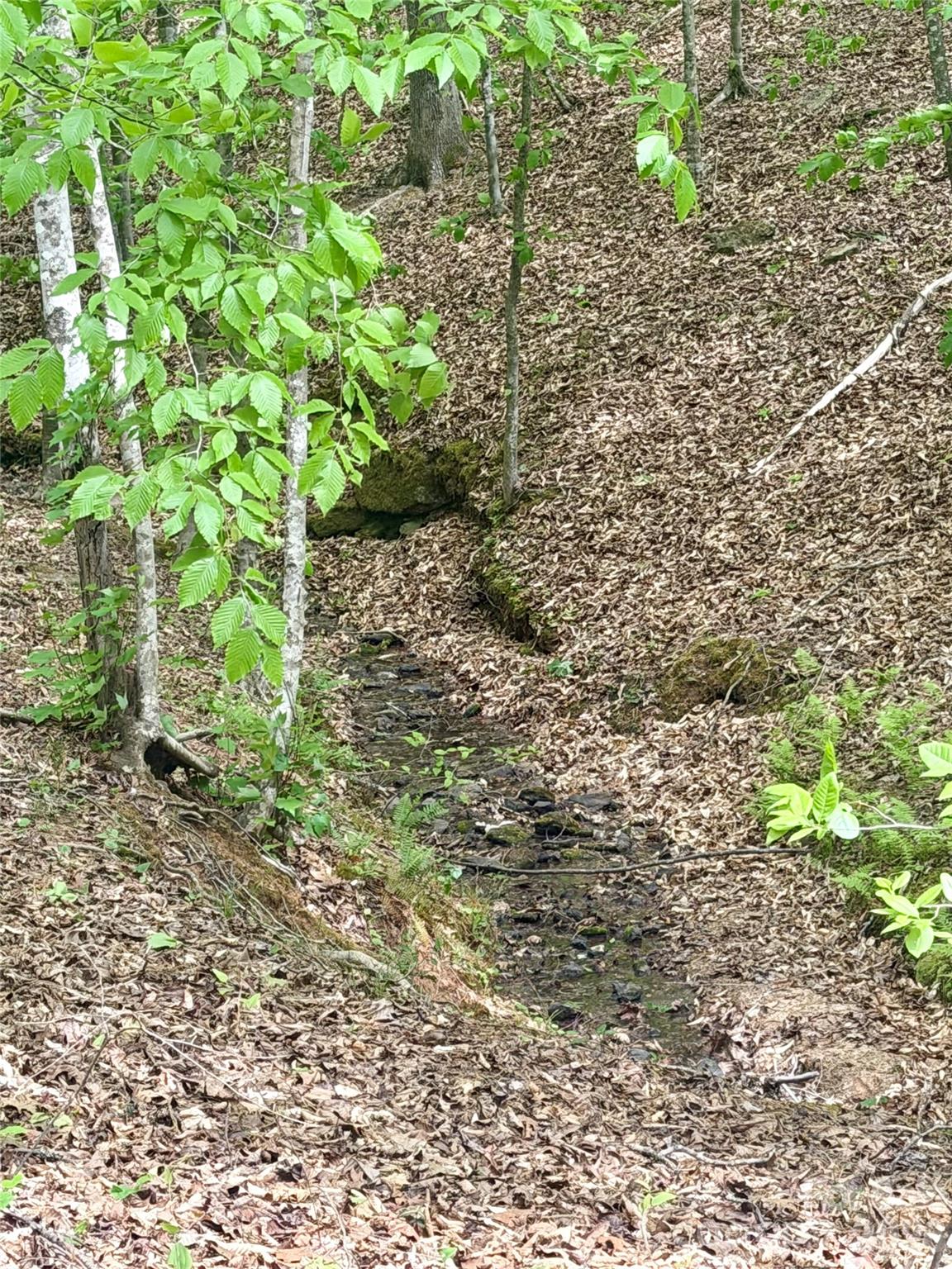 0 Polk County Line Road Rutherfordton NC 28139