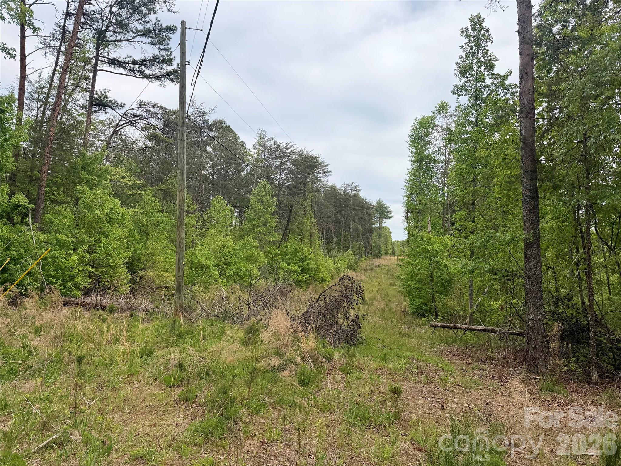 0 Polk County Line Road Rutherfordton NC 28139