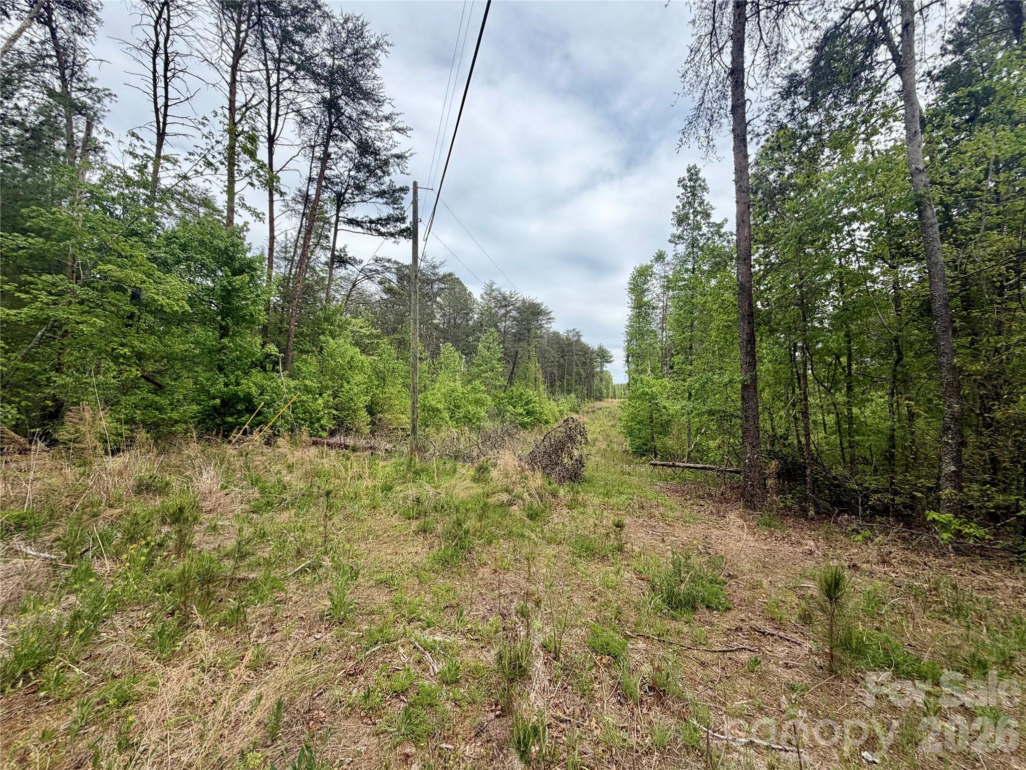 0 Polk County Line Road Rutherfordton NC 28139