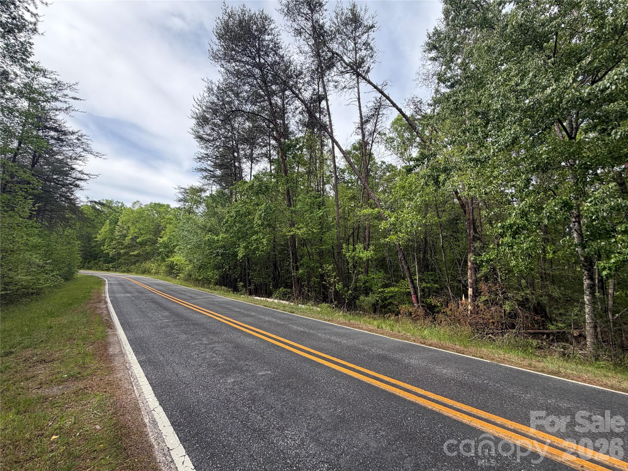 0 Polk County Line Road Rutherfordton NC 28139