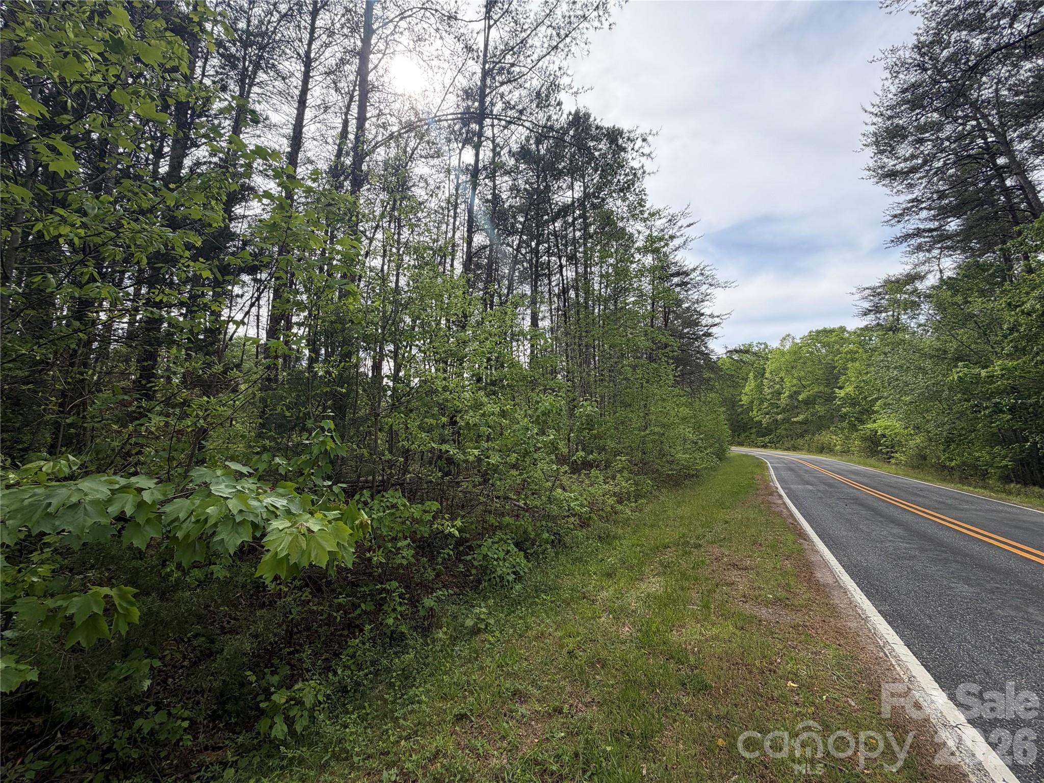 0 Polk County Line Road Rutherfordton NC 28139