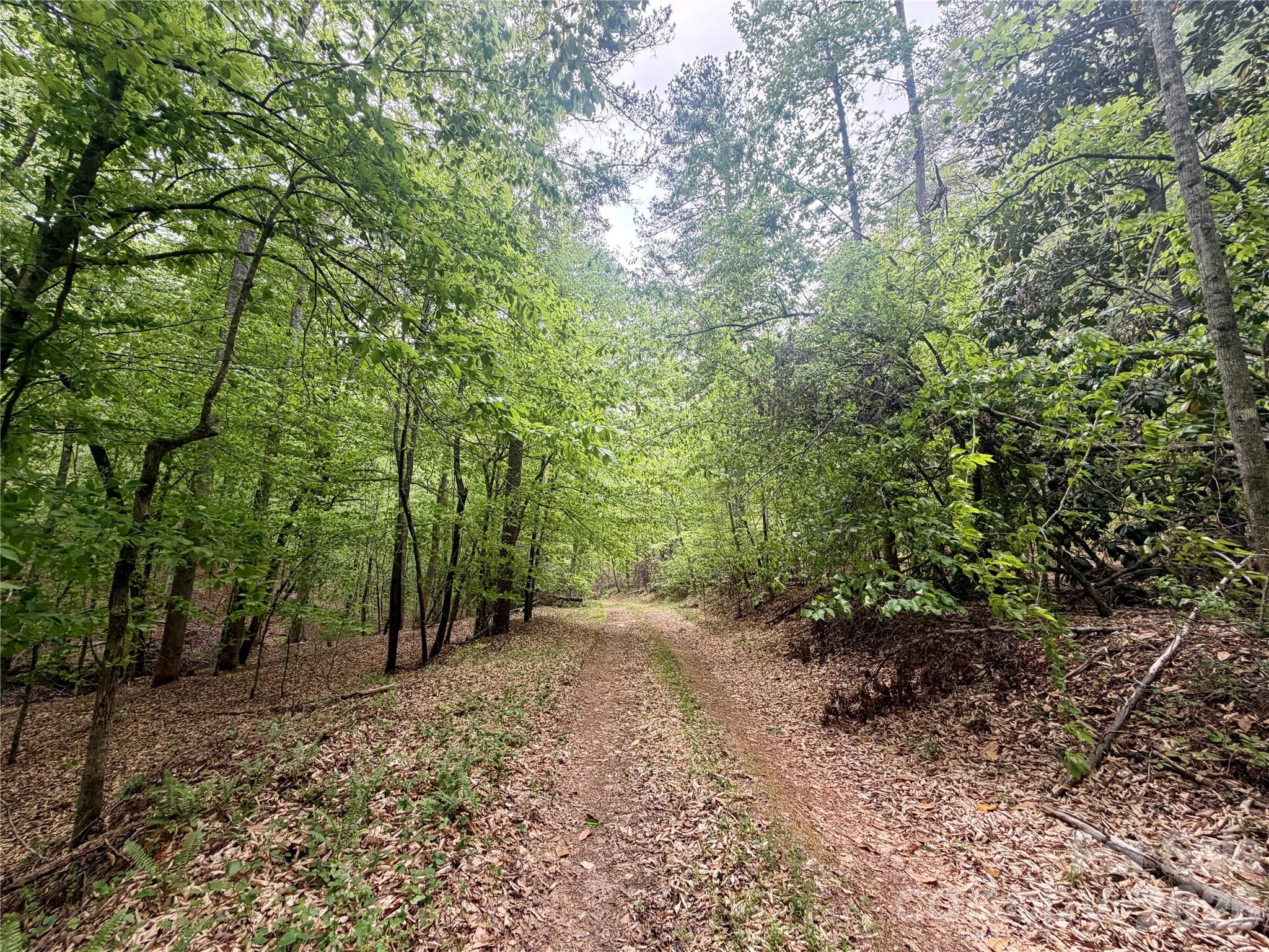0 Polk County Line Road Rutherfordton NC 28139