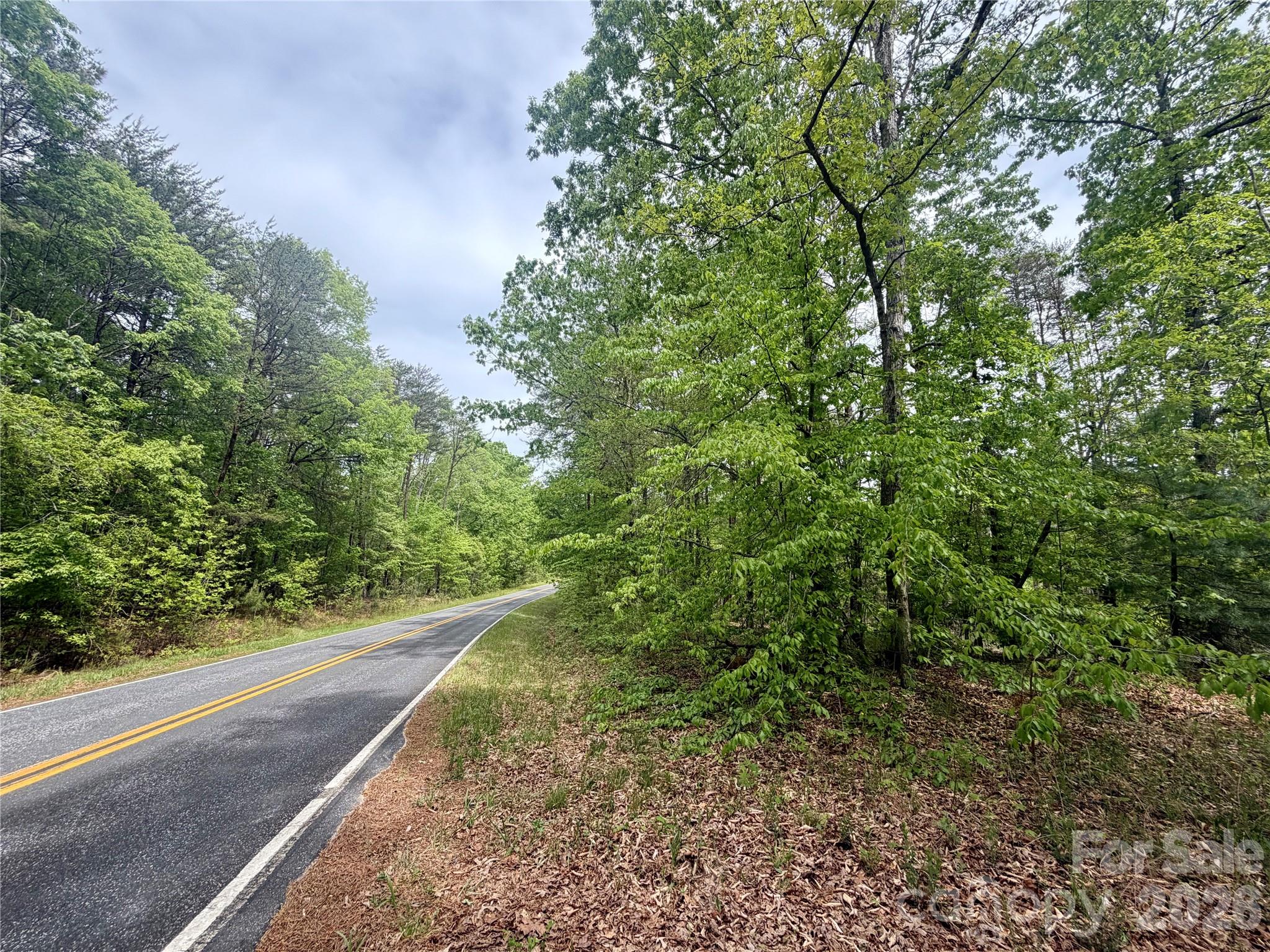 0 Polk County Line Road Rutherfordton NC 28139