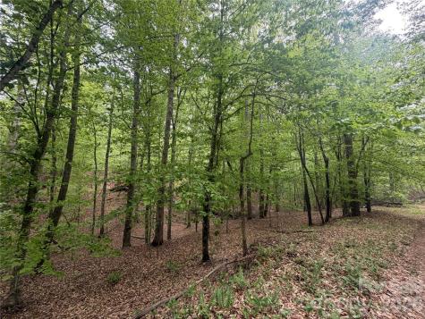 0 Polk County Line Road Rutherfordton NC 28139