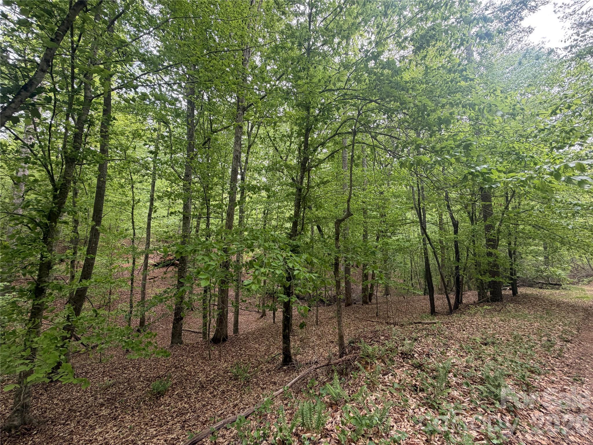 0 Polk County Line Road Rutherfordton NC 28139