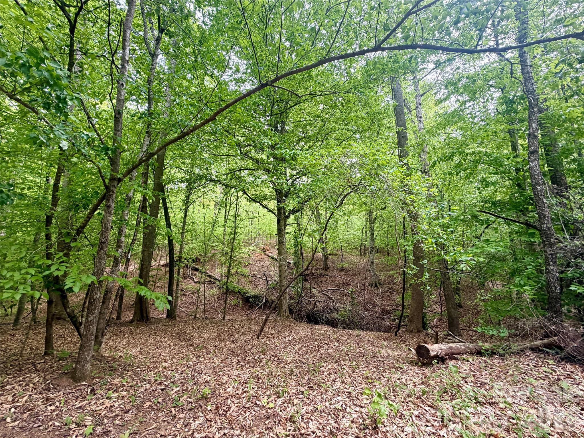 0 Polk County Line Road Rutherfordton NC 28139