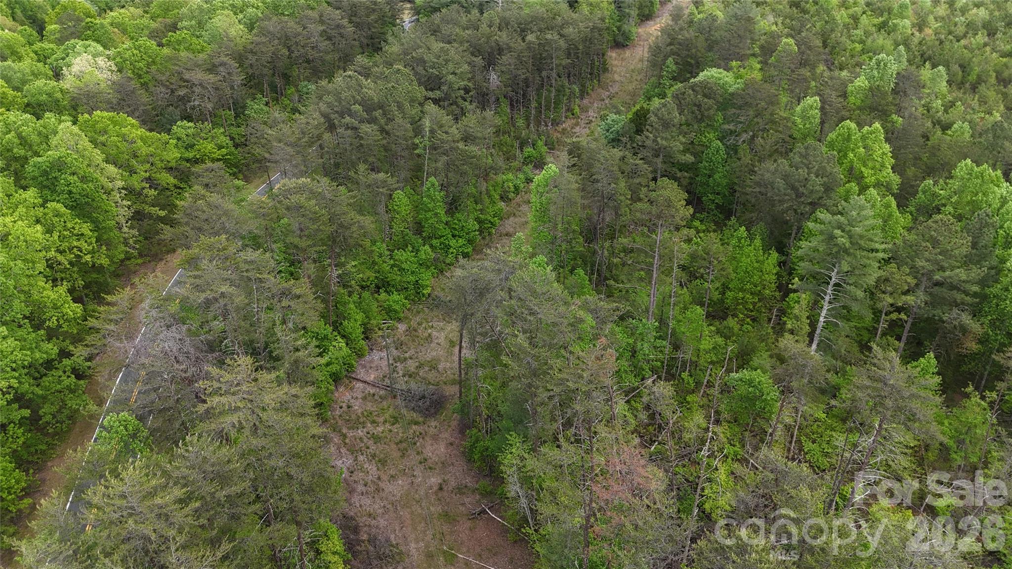 0 Polk County Line Road Rutherfordton NC 28139