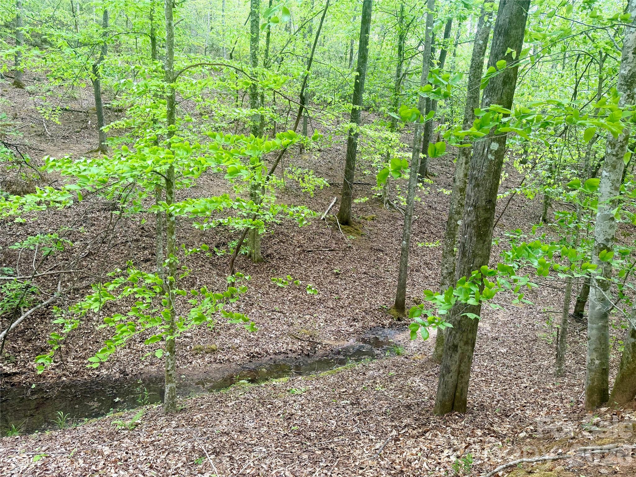 0 Polk County Line Road Rutherfordton NC 28139