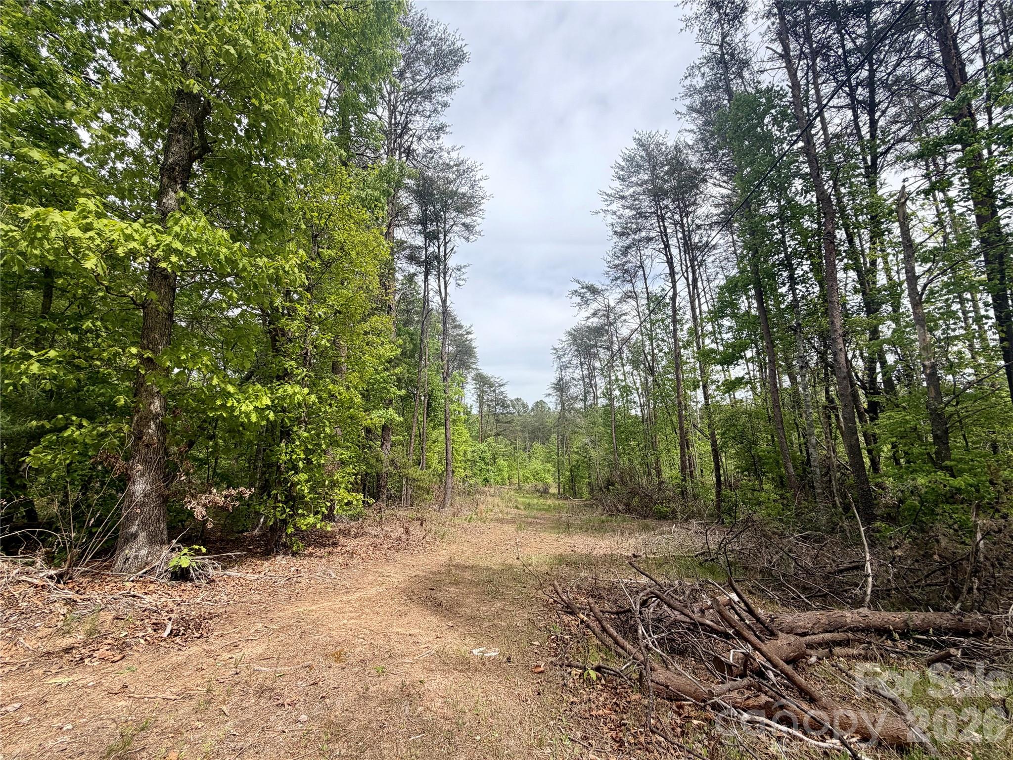 0 Polk County Line Road Rutherfordton NC 28139