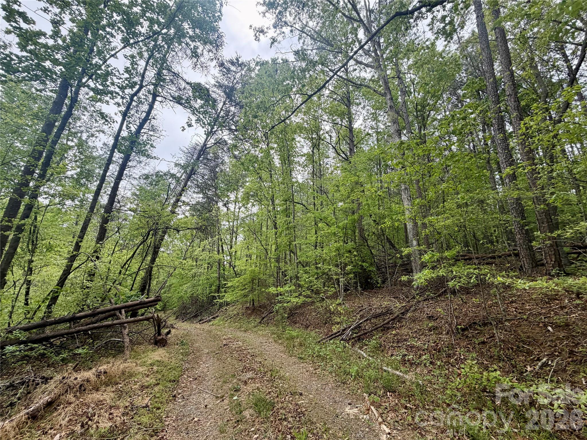 0 Polk County Line Road Rutherfordton NC 28139