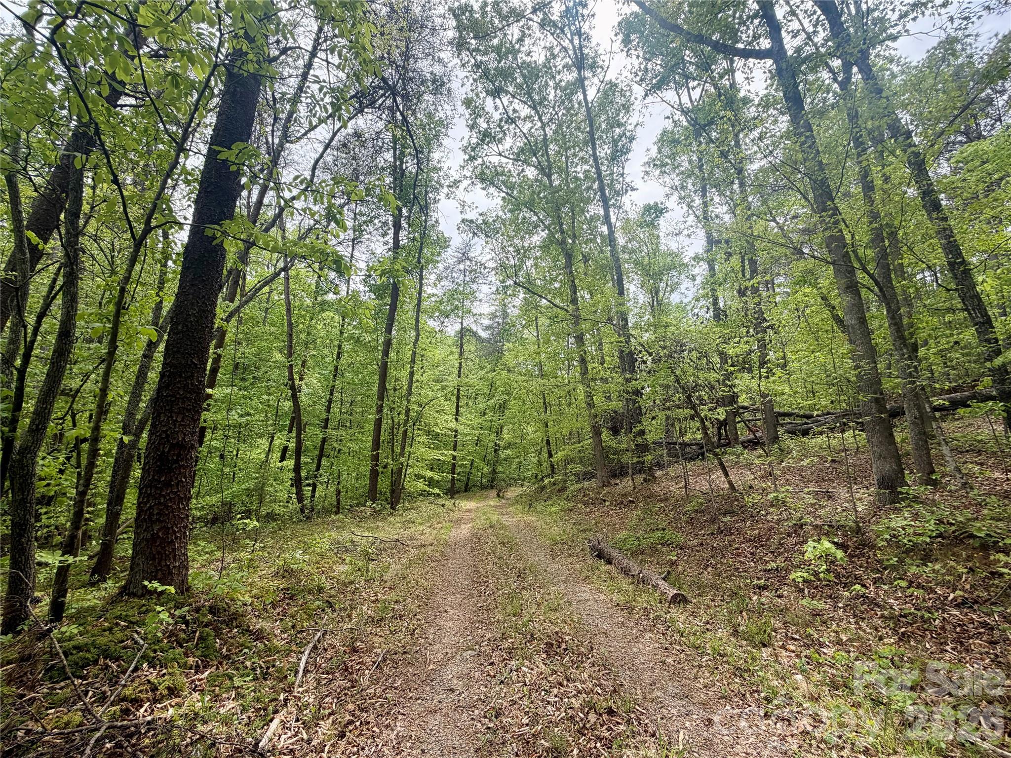 0 Polk County Line Road Rutherfordton NC 28139