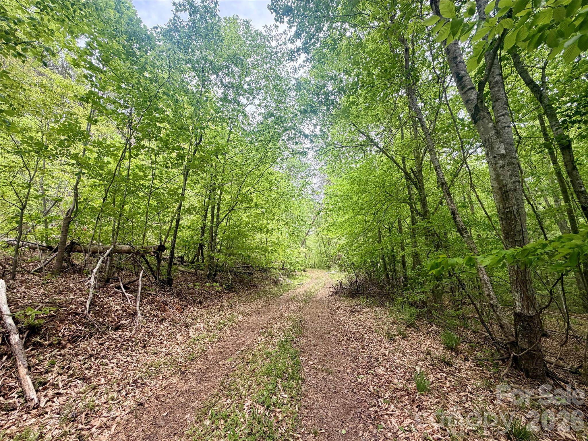 0 Polk County Line Road Rutherfordton NC 28139