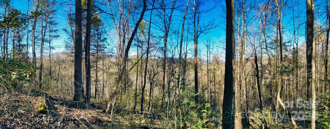 16 Bear River Lodge Trail Madison NC 28753
