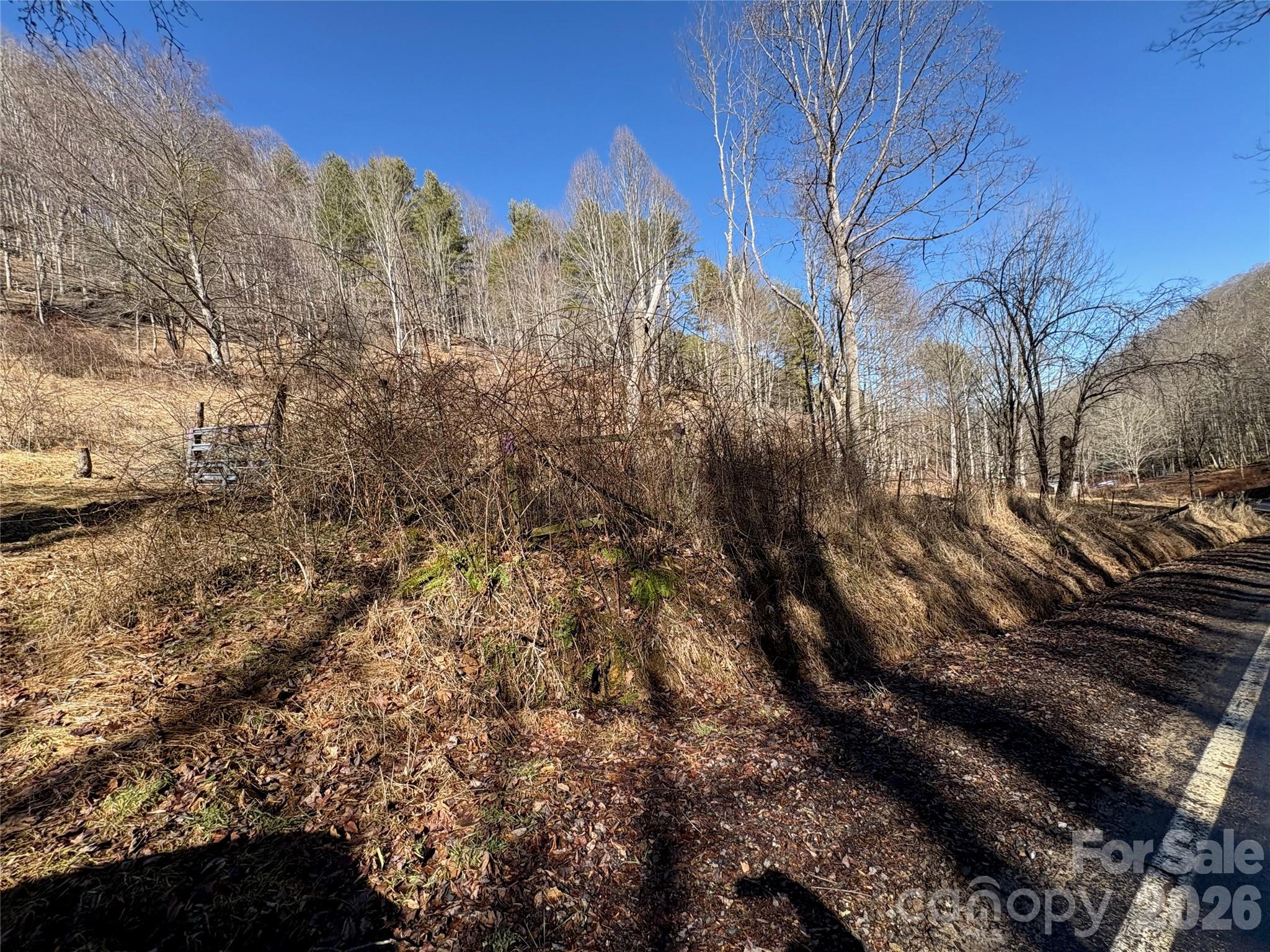 9999 Bee Log Road Burnsville NC 28714