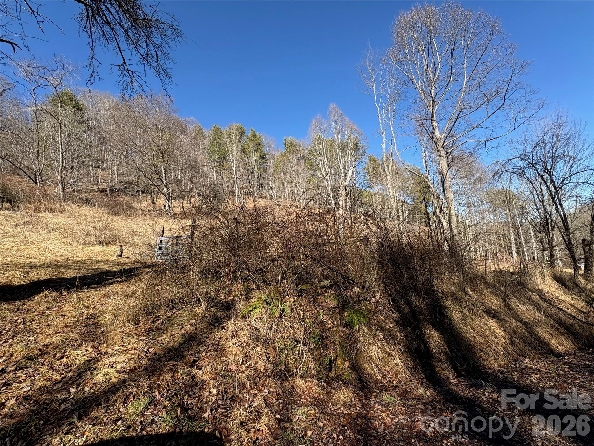 9999 Bee Log Road Burnsville NC 28714
