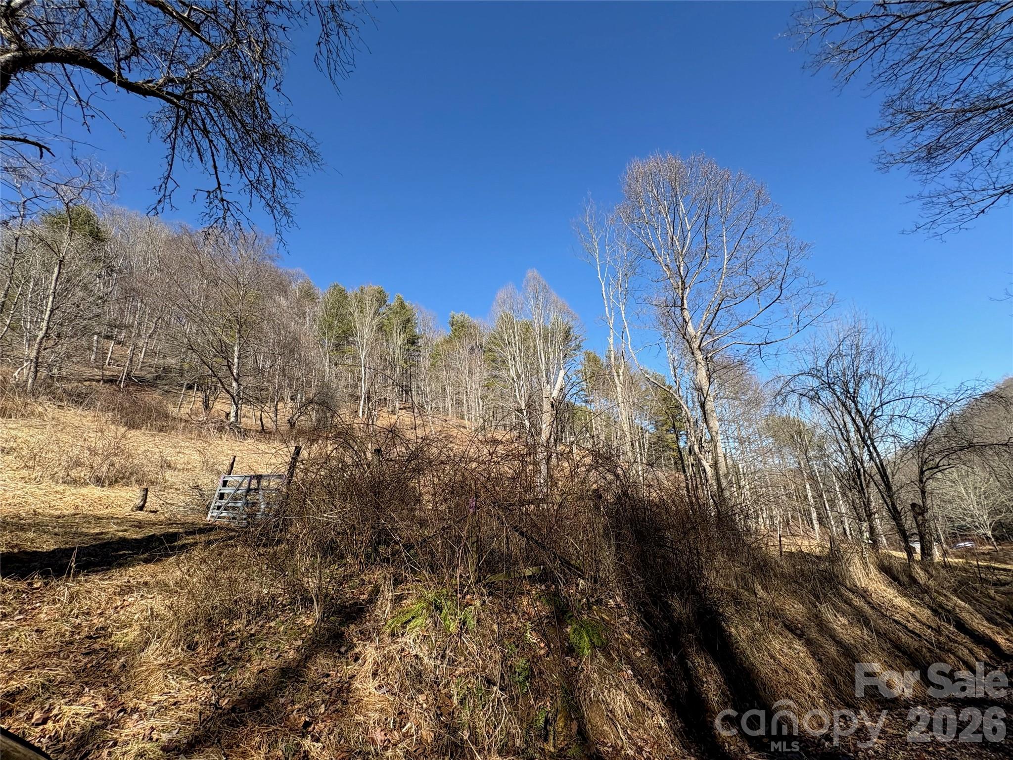 9999 Bee Log Road Burnsville NC 28714